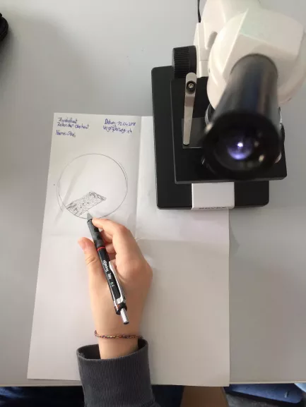 Naturwissenschaften